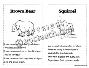 Booklet: Forest Animals